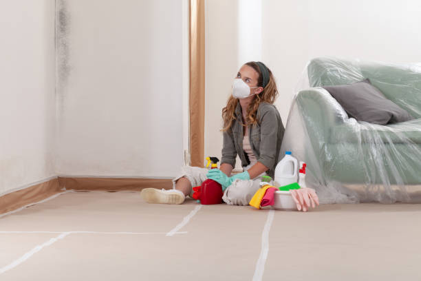 Reliable Mold Remediation contractor in Saint Francis, MN by WQB Mold Removal